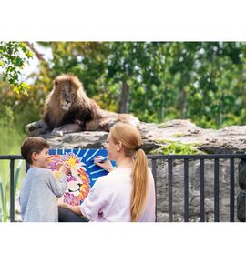 edding Acrylmarkers Creative set